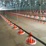 0.75kw Closed System Of Feeding In Poultry for sale