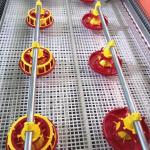 3 Lines Raising 30000 Broiler Equipment Prefab Poultry Closed House for sale