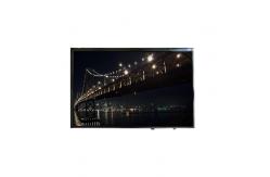 China VVX10T022N96 10.1 inch eDP LCD Screen Display Panel supplier