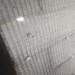 Building Manufactured Steel Concrete Welded Wire Mesh 6 X 6 Durable for sale