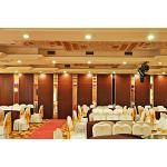 Wooden Surface Sliding Movable Partition Walls , Hotel Folding Room Divider for sale