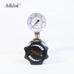 Adjustable Stainless Steel Back Pressure Valve 300psi Oxygen Nitrogen Helium Hydrogen Argon Carbon Dioxide Air Pressure for sale