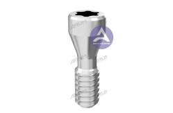 China Arum Titanium Angled Screw No.14 (DS016) Compatible with Megagen & Nobel Biocare & Osstem supplier