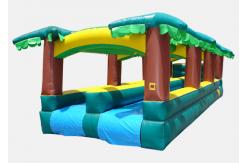 China inflatable tropical slide, Hot Playing Durable Special Inflatable Slip Slide supplier