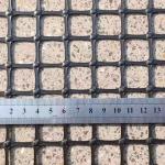 PP Farm Fence Plastic Geogrid Anti Deer And Other Animals
