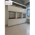 Activated Carbon Filter System Laboratory Fume Hood for Sale with Customized Features for sale
