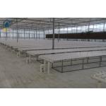 Greenhouse Vegetables Lettuce Grow Hydroponic System NFT Vertical Hydroponic Pipeline