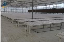 China Greenhouse Vegetables Lettuce Grow Hydroponic System NFT Vertical Hydroponic Pipeline supplier