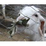 Flexible Stainless Steel Ferrule Rope Mesh For Safety Zoo Mesh