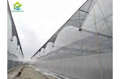 China Large Multi Span Poly Tunnel Film Agricultural Tomato Growing Greenhouse supplier