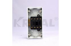 China 35A Single Pole 250V Outdoor Waterproof Isolator Switch With SAA supplier