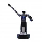 Autonomous Navigation AI Robot China Humaniod Reception Robot Adaptive Artificial Intelligence Robot for sale