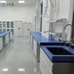 Customizable Lab Wall Bench with Easy Installation and Testing Function Length*W750*H850mm for sale