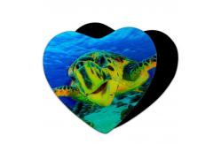 China 3D Magnets Sealifes Dolphin Shark Turtle Lenticular Printing Card For Gifts supplier