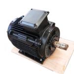 Low Noise Permanent Magnet AC Generator 200kw 250rpm 400V 50HZ for sale