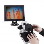 Blood Capillary Microcirculation Microscope 600X Magnification DC12V 2A Output for sale