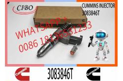 China Remanufactured Best Price Common Rail Fuel Injector 3081315F 3083846T supplier