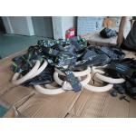 Gymnastics Rings Third Party Inspection Services Factory Audit Services
