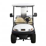 Electric Buggy Golf Car Food Car With Aluminum Box For Food Selling / Transportation for sale