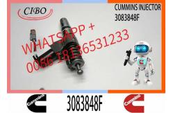 China Hot Sale Diesel Fuel Injector 3411759 3083848F For Cummins N14 Engine supplier