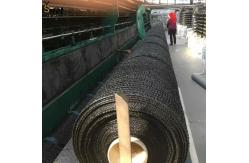 China Black Sun Shade Net HDPE Greenhouse Mesh Fabric UV Resistant supplier
