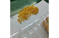 China Customized Golden Compression Coil Spring Gold Plating Surface Treatment supplier