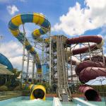 Boomerang Slide for sale