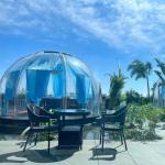 Party Glamping Bubble Tent PC Clear Dome House For Outdoor Garden for sale