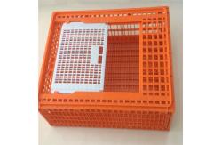 China Broiler Poultry Carrier Crate Farming Plastic Agricultural Crates supplier