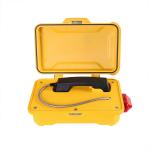 Ringdown Industrial Weather Resistant Telephone IP66-IP67 With Flashing Warning Lamp