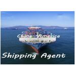 Door To Door DDU Shipping From China To Netherlands USA UK Denmark for sale