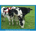 High Securety Galvanized Field Fence For Cattle / Horse / Sheep Good Flexibility for sale