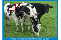 China High Securety Galvanized Field Fence For Cattle / Horse / Sheep Good Flexibility supplier