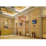 1600kg Passenger Elevator Lift / Various Load And Faster Speed for sale