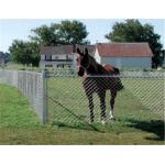 9 Gauge Farm Cyclone Wire 3.0mm Chain Link Mesh Fence for sale