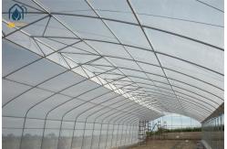 China Customizable Tunnel Multi Span Greenhouse 5m - 12m Width With Drip Irrigation System supplier
