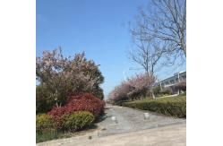 China Alumina Ceramic Brick manufacturer