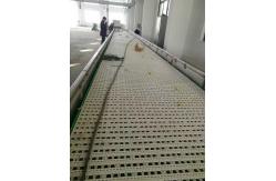 China                  Slat Chain Conveyor for Conveyor System              supplier