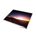 LTM12C505D 12.1 inch 1024*768 TFT-LCD Screen Display for sale