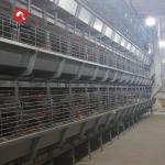 Automatic Chicken Broilers Cage System 4 Tiers 5 Tiers H Type Poultry Farm Shed for sale