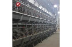 China HDG Steel Broiler Chicken Cages Chicken Meat Broiler Cages With Automatic Poultry Feeding supplier
