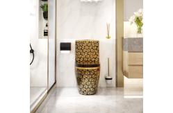 China 300mm 400mm Roughing In One Piece Toilet Sanitary Ware Dual Flush supplier