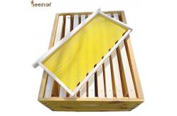 China 5.4mm Pure Natural Beeswax Honeycomb D Beeswax Foundation Sheet supplier