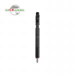 Diesel Injector EJBR03401D A6640170021 for Delphi Engine