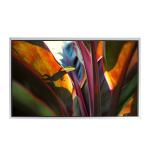 LTM220MT12 22.0 inch 1680*1050 tft LCD screen display for sale