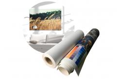 China Aqueous Inkjet Printed Cotton Canvas 360gsm Matte Art Exhibitions Roll Stretched supplier