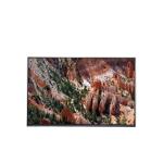 LC860EQY-FJA1 86.0 inch LCD Panel UHD LCD Screen for Digital Signage for sale