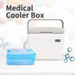 Cold Chain Ice Chest Cooler Box 5 Liter Cool Box For Insulin for sale