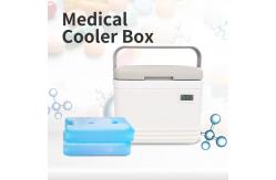 China Cold Chain Ice Chest Cooler Box 5 Liter Cool Box For Insulin supplier