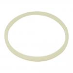 Customized Rotary Shaft Seals ROI 95 PU Rubber Seal Ring ODM